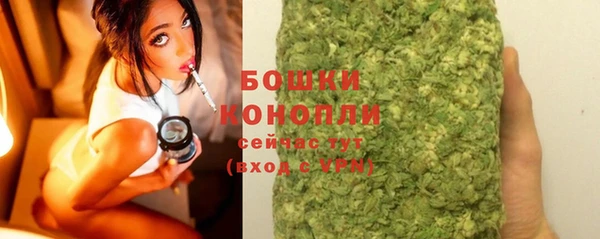 гашик Дмитров
