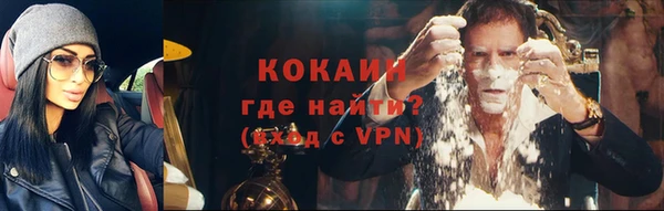 дурь Дмитриев