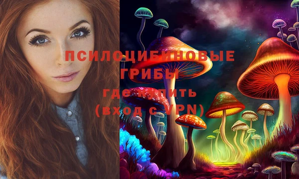 Альфа ПВП Дмитровск