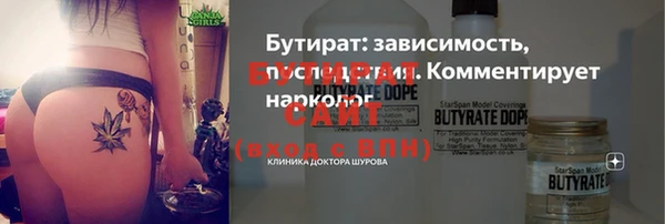 гашик Дмитров