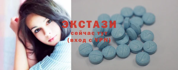 гашик Дмитров