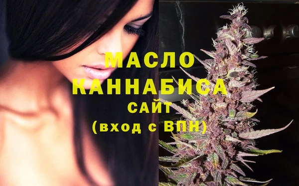 гашик Дмитров
