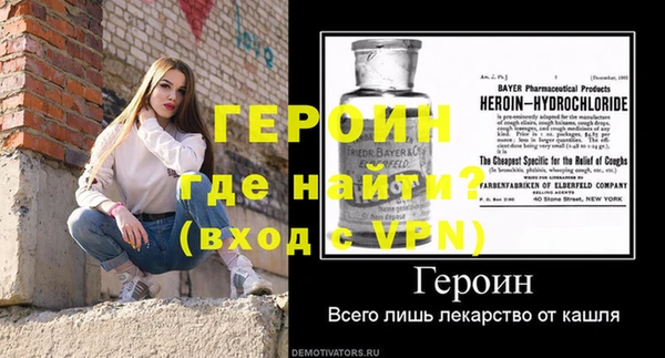 гашик Дмитров