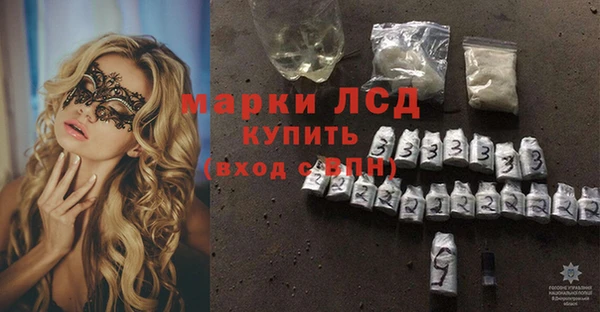 гашик Дмитров