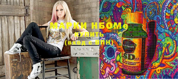 гашик Дмитров