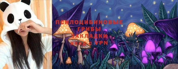Альфа ПВП Дмитровск