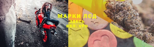 гашик Дмитров